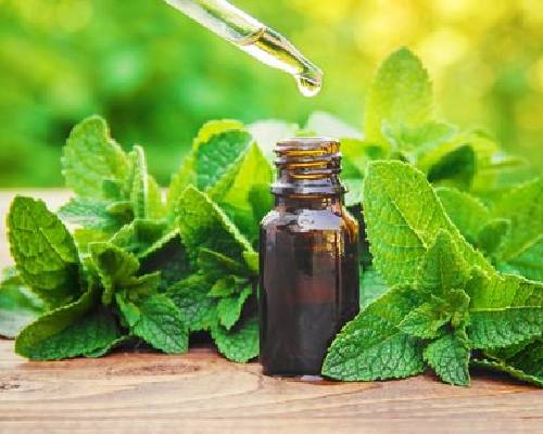 Mentha Spearmint Oil