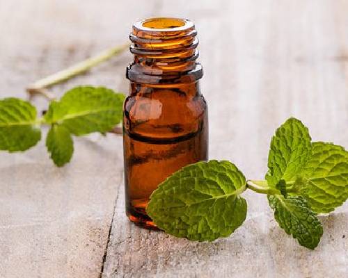 Mentha Citrata Oil