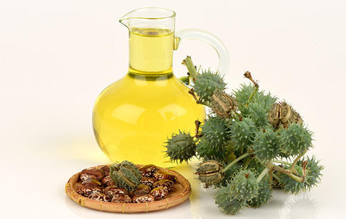 Castor Oil & Its Derivatives