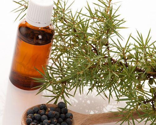 Juniper Berry Oil