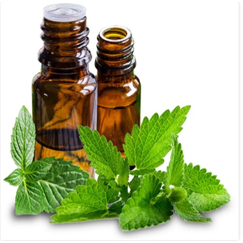 Mentha Arvensis Oil