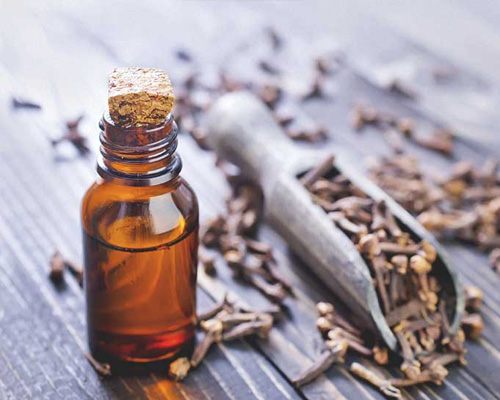 Clove Oil