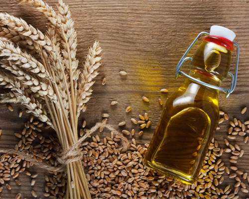 Wheat Germ Oil