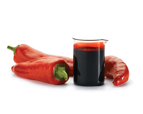 Capsicum Oleoresin