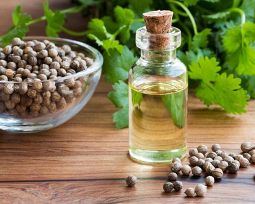 Coriander Oleoresin