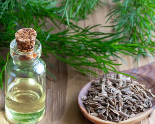 Dill Seed Oil BP
