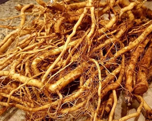 Ashwagandha Root