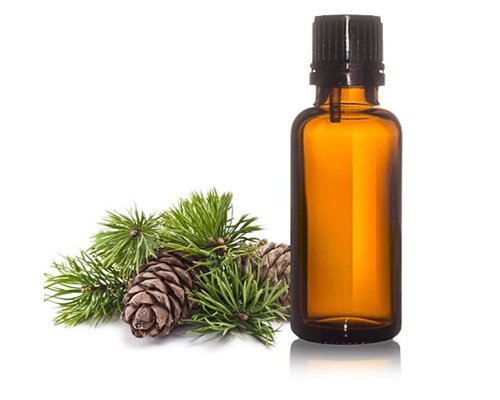 Turpentine Oil BP Suppliers