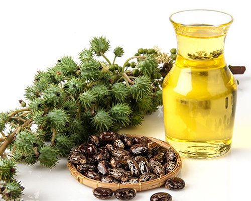 Castor Oil FSG / BSS Suppliers